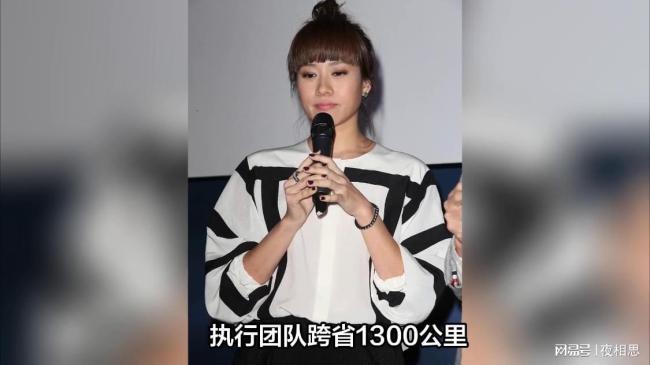 女歌手楊雯梓全國巡回演唱會(huì)后被抓 細(xì)節(jié)披露 跨省追債成功抓捕