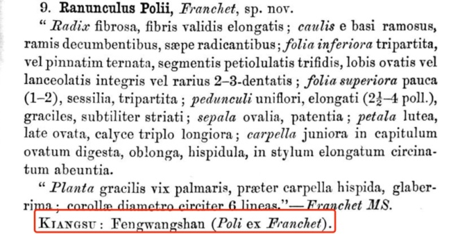 上海發(fā)現(xiàn)150年前植物品種，意外發(fā)現(xiàn)了消失已久的