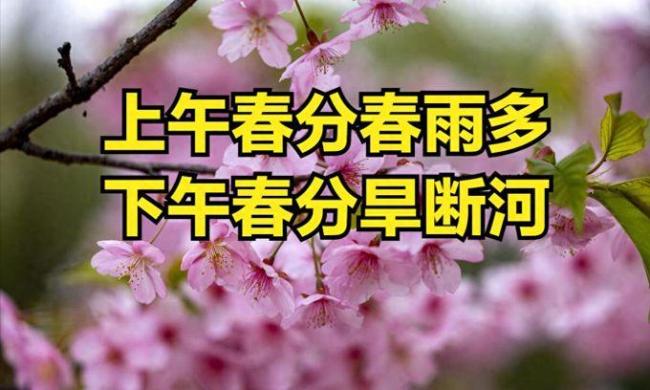 20年一遇春分撞上春社日 今春是旱是澇？