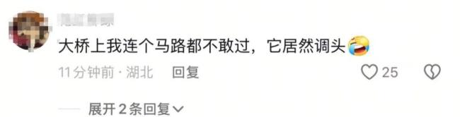 交警談大巴車在大橋違法掉頭 網(wǎng)友震驚并舉報(bào)