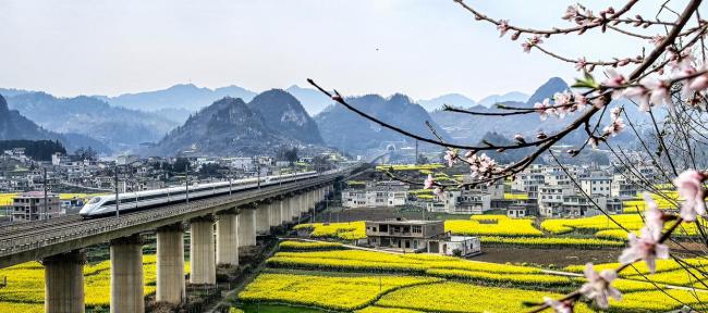 開往春天的列車出發(fā)了 穿越油菜花海