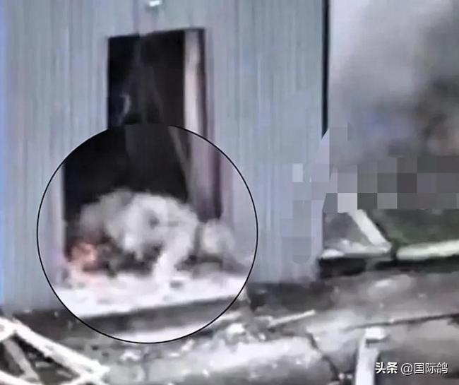 乌士兵被炸伤后又遭一枪爆头 战争残酷无情