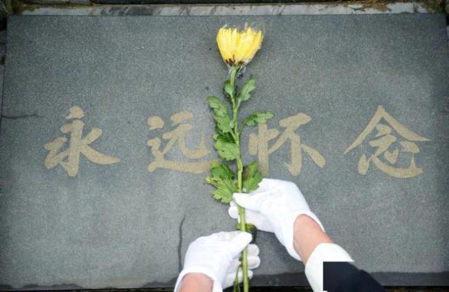 本年明朗回闾阎省墓，发现5个“怪象” 亲情与传统的变迁