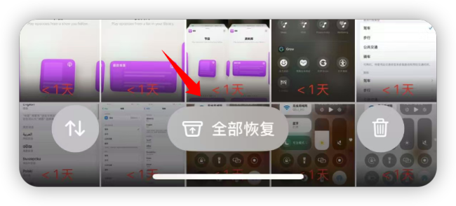苹果推出iOS 18.5首个开发者测试版 国行AI新进展