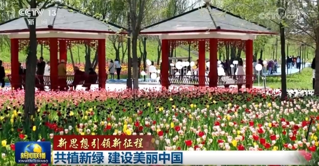 【新思想引领新征程】共植新绿 建设美丽中国