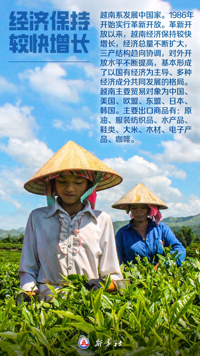 海報｜這,，就是越南,！