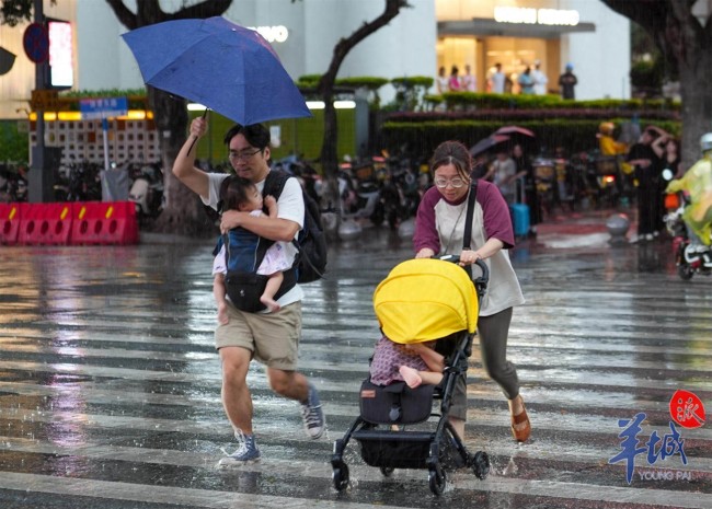 广东暴雨下哪了
