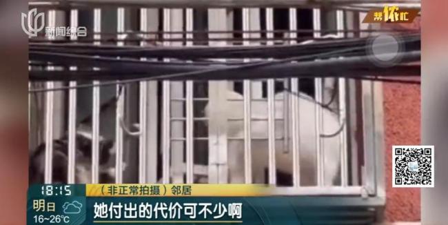 阿姨把房让猫居住邻居遭殃 异味扰民引纠纷