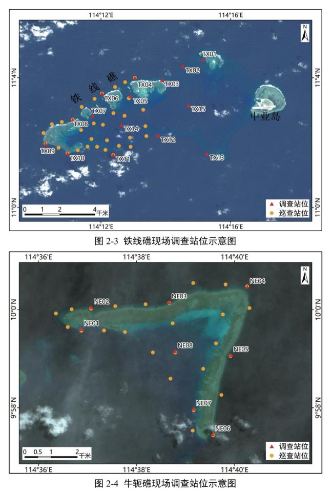铁线礁牛轭礁珊瑚礁生态系统调查报告