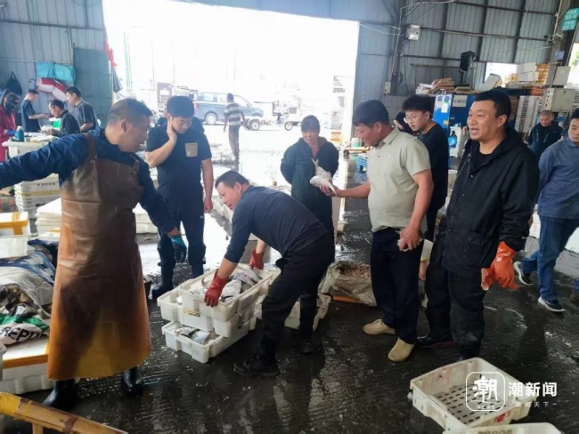 @浙江人，5月8日起,，禁止銷售！涉及8種海鮮 東海休漁期來臨