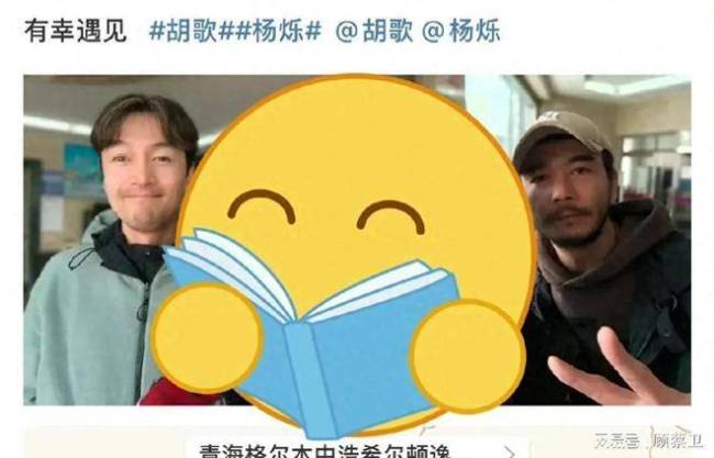 杨紫无缝进组