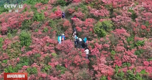“五一”假期旅游火熱 這份“出行寶典”請收藏
