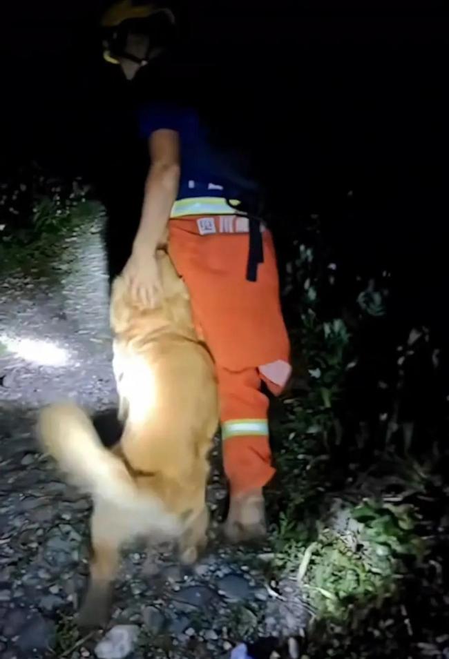 消防員救下2人1狗 被狗狗跟隨抱抱 雨中溫情救援