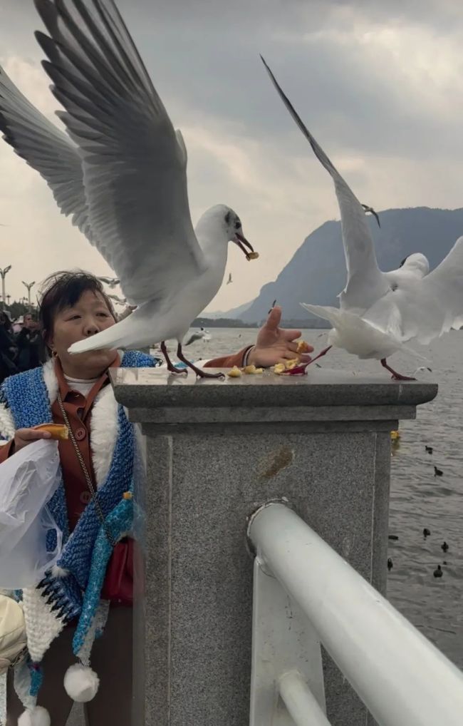 當(dāng)農(nóng)村女孩第一次帶媽媽旅游 感受嶄新的媽媽