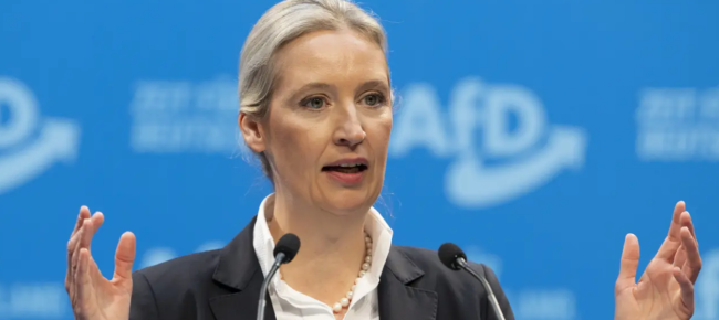 德国为何将选择党列为极右翼组织？