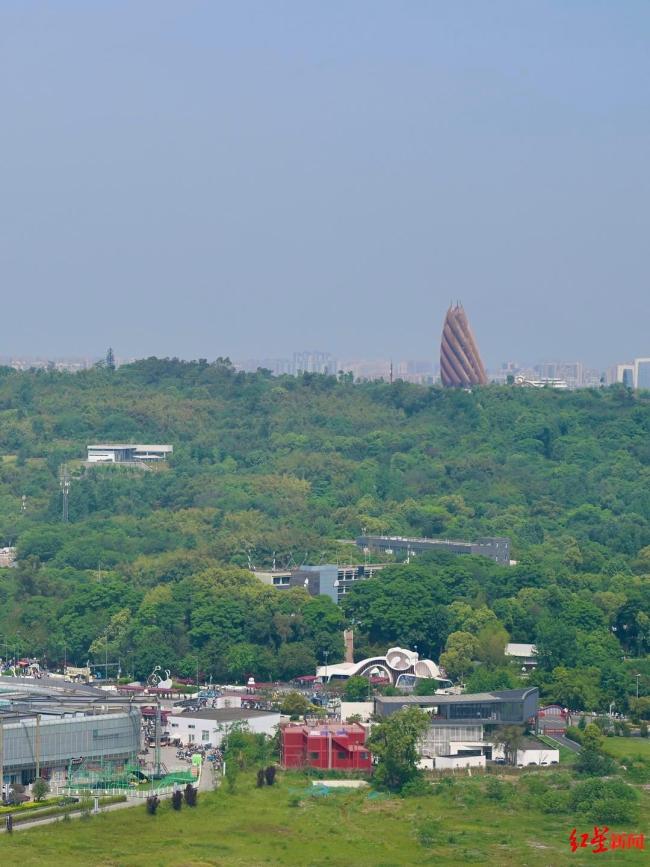 五一假期低空飛行預(yù)約爆火 成都“熊貓飛的”首航