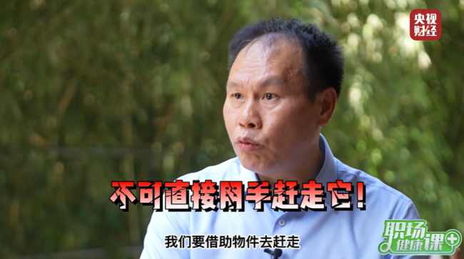 被咬一口腫到發(fā)脹,！多地已出現(xiàn)，看到趕緊遠(yuǎn)離,！