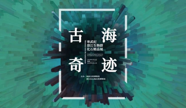五一假期北京的博物館放大招了 精彩展覽等你來(lái)