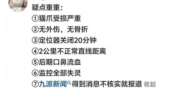 主人發(fā)布網(wǎng)紅小貓悟空去世細(xì)節(jié) 真相竟是陰謀