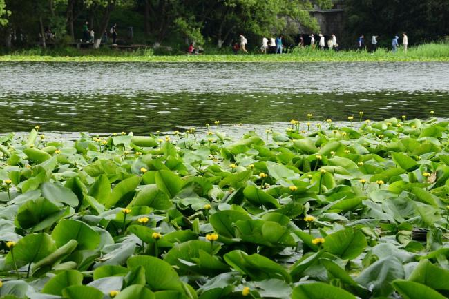 浙江：今日立夏，雨水效應(yīng)下天氣有點(diǎn)涼,，未來(lái)幾天冷空氣活躍氣溫多起伏 雨來(lái)溫降注意添衣