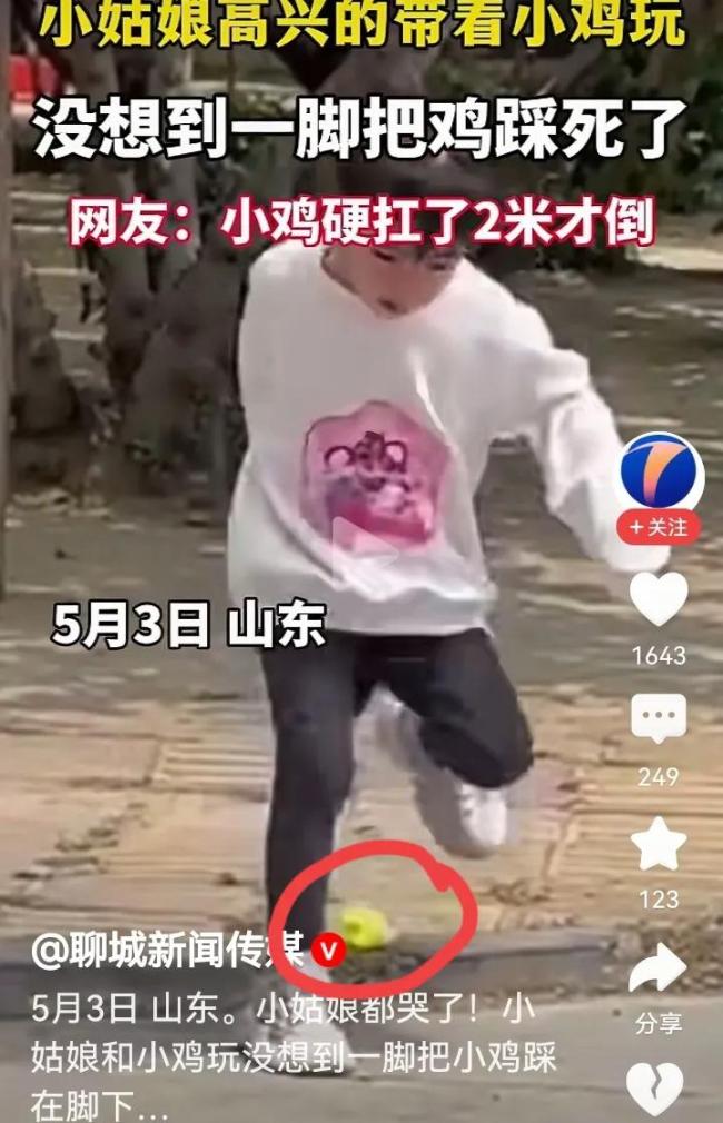 女孩帶小雞玩時(shí)意外把小雞踩在腳下 小雞堅(jiān)強(qiáng)跑兩米終倒下