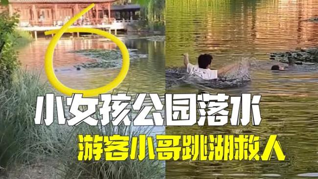 小女孩意外墜湖 游客小哥跳水救人 毫不猶豫顯英勇