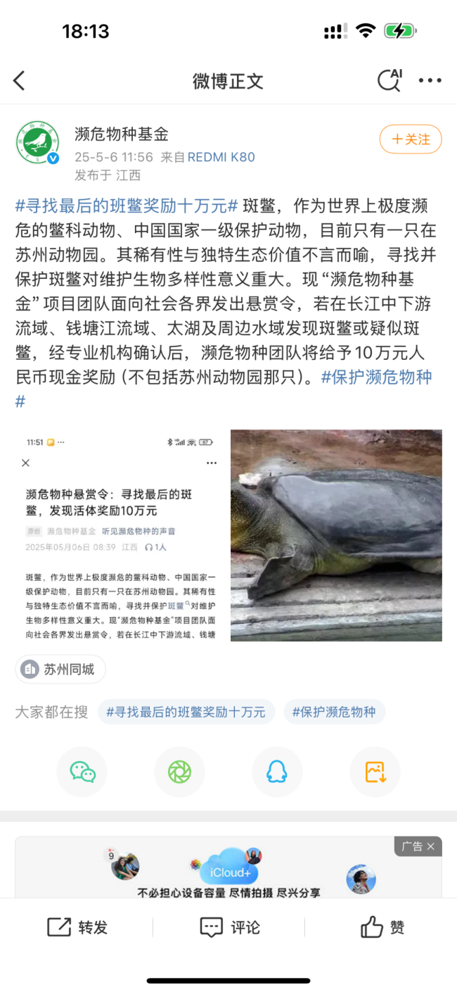 懸賞10萬尋找“全國僅剩1只”的斑鱉 比大熊貓更瀕危