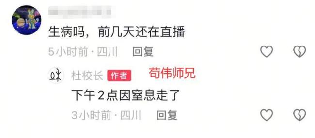 歌手茍偉去世 音樂天才英年早逝