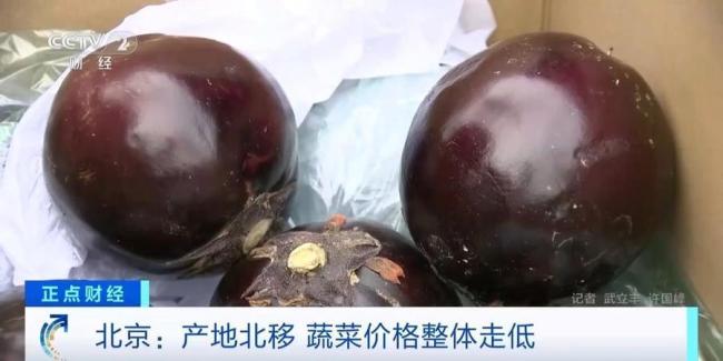 北京：產(chǎn)地北移、成本降低,，北方蔬菜大量上市 豆角,、西紅柿等價(jià)格下降 蔬菜供應(yīng)更穩(wěn)定