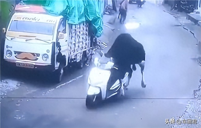 印度一頭牛被監(jiān)控拍到“偷騎”摩托車 新奇試駕引發(fā)熱議