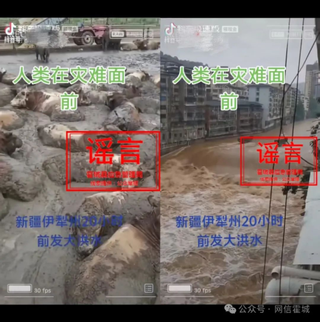 新疆伊犁霍城縣山洪沖城牲畜死亡？辟謠！