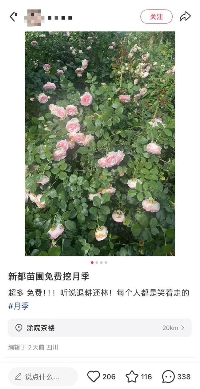 成都一苗圃遭組團(tuán)挖花 不實(shí)信息引發(fā)混亂