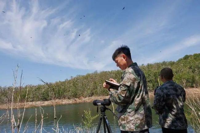 “家长们”都很忙！密云水库鸟岛进入繁育高峰 千只幼鸟待哺