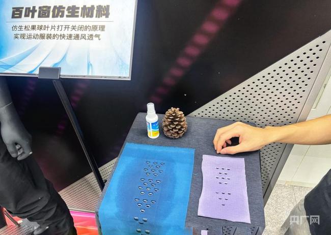 經(jīng)濟大省挑大梁 福建創(chuàng)新引領高質量發(fā)展