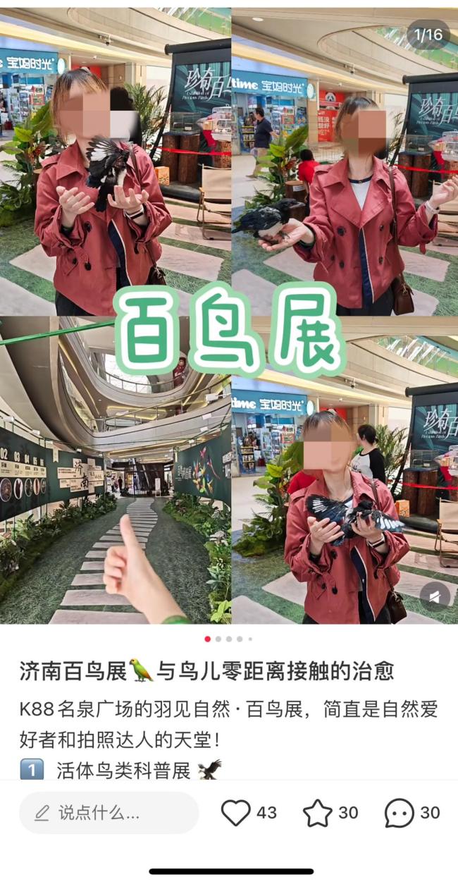 濟(jì)南鳥展被指違規(guī)展出多種珍貴野鳥 網(wǎng)民質(zhì)疑非法獵捕