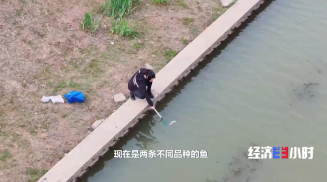 低空经济爆发！这些“会飞”的工作正吃香