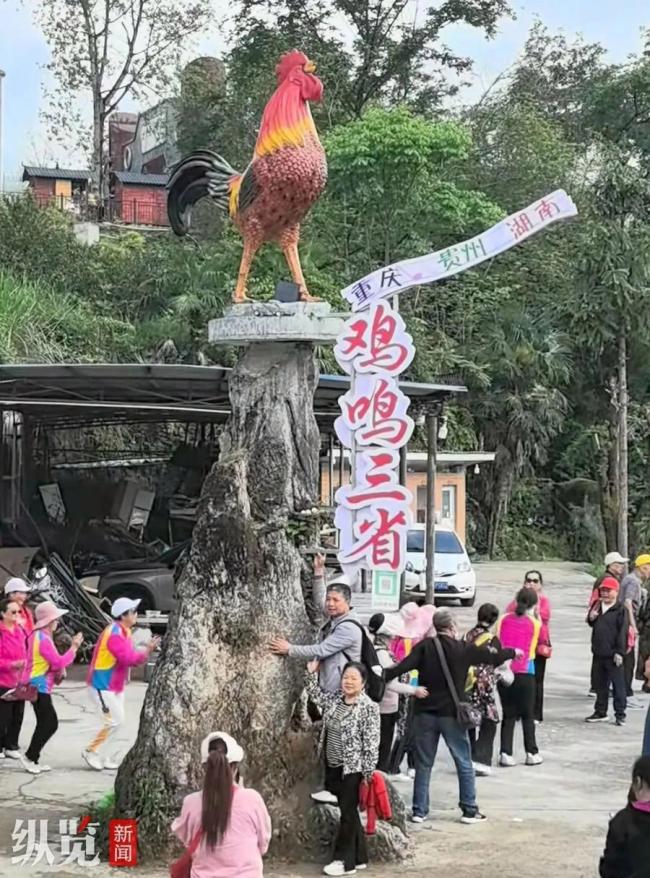 一天900多人掃二維碼 致農(nóng)家樂“雞叫”不斷 掃碼聞雞鳴走紅