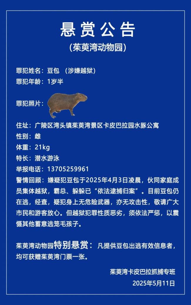 水豚出逃 动物园发悬赏公告