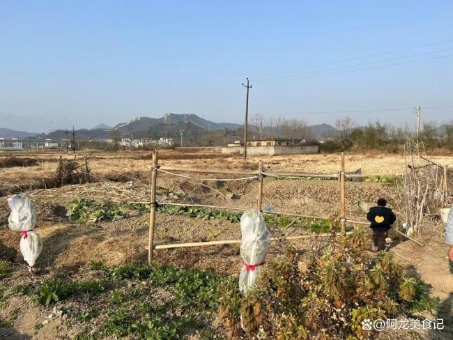 “四月十五定旱澇”今年夏天是旱是澇,？ 古今智慧碰撞預測