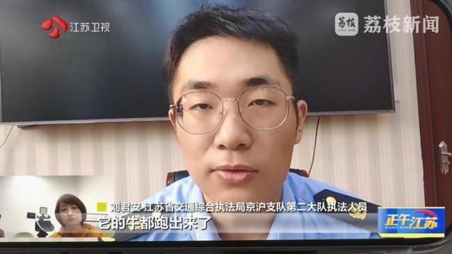 高速“牛出沒”執(zhí)法人員處置