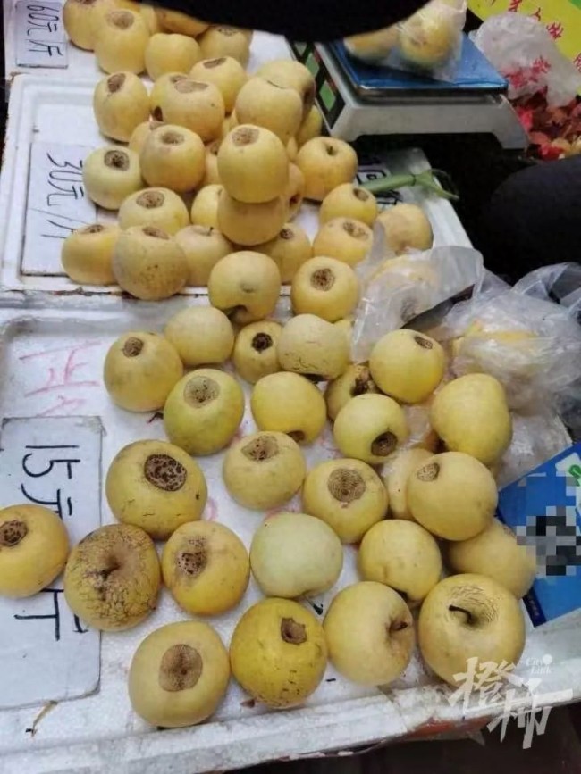 60一斤的新疆冬厘果究竟是什么 騙局揭秘