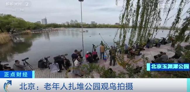 暴漲超100%！34萬人“入圈”,，什么這么火,？銀發(fā)族觀鳥熱