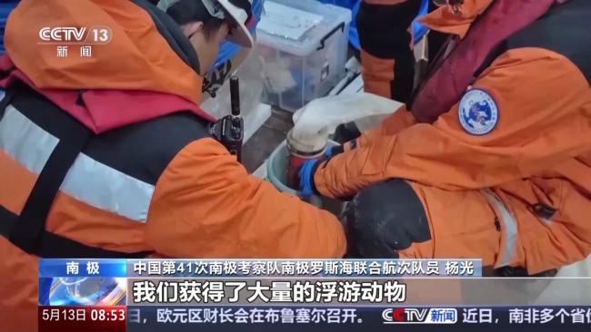 中國南極科考有了新發(fā)現(xiàn) 海冰與生態(tài)系統(tǒng)揭秘