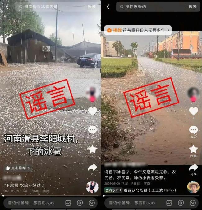 河南多地冰雹天氣致小麥顆粒無收?