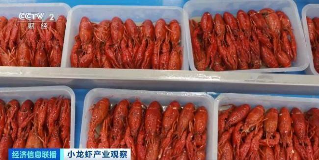 小龍蝦加工品成海外市場新寵 創(chuàng)新賦能產(chǎn)銷兩旺