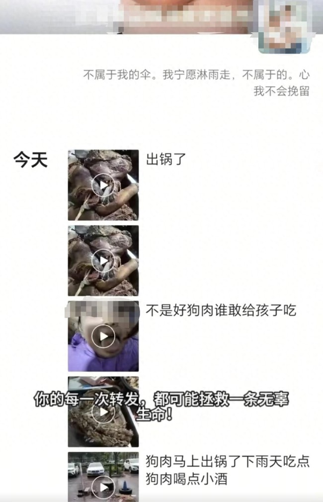 一老板借領養(yǎng)名義烹食流浪狗 偽善面目遭揭穿