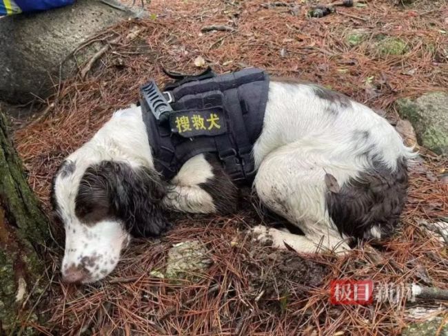 辟謠福建走失男孩腳印被發(fā)現(xiàn) 搜救仍在繼續(xù)