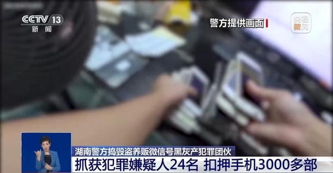 警方搗毀盜養(yǎng)販微信號犯罪團伙 揭露黑灰產(chǎn)鏈條