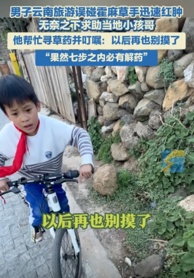 男子旅游誤碰霍麻草手迅速紅腫