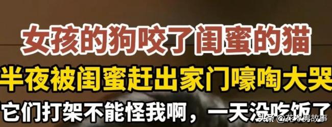 女孩因貓狗大戰(zhàn)深夜被趕出家門 塑料閨蜜情引發(fā)熱議